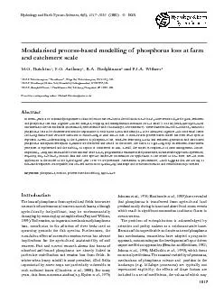 Modularised process-based modelling of phosphorus loss at farm and cat