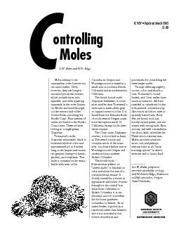 Mole moundsand burrow systemsCover pasturegrasses andlegumes, reducin