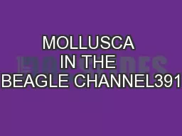 MOLLUSCA IN THE BEAGLE CHANNEL391