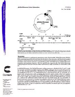 pDsRed-Monomer Vector Information (PR0X3720; published October 2010)
.