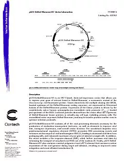 (PR0X3715; published October 2010)pLVX-DsRed-Monomer-N1 Vector Informa