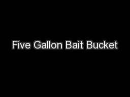 Five Gallon Bait Bucket