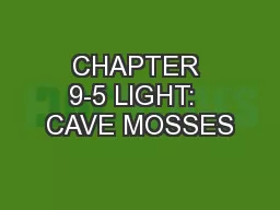 CHAPTER 9-5 LIGHT:  CAVE MOSSES