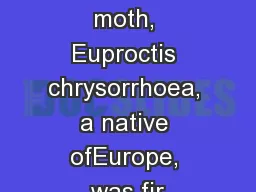 The browntail moth, Euproctis chrysorrhoea, a native ofEurope, was fir