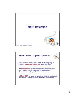Motif Detection