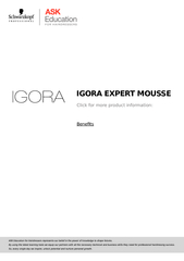 IGORA EXPERT MOUSSE