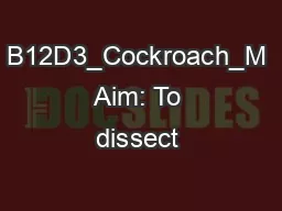 B12D3_Cockroach_M Aim: To dissect & identify the mouth parts of cockro