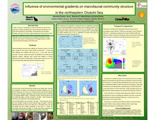 Influence of environmental gradients on macrofaunal community structur