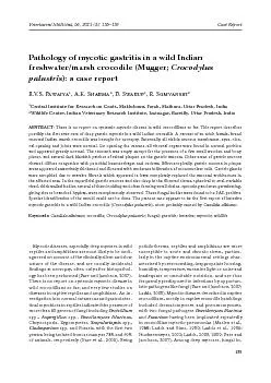 Veterinarni Medicina, 56Pathology of mycotic gastritis in a wild India