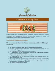 Cosmic Catering Food