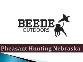 Pheasant Hunting Nebraska