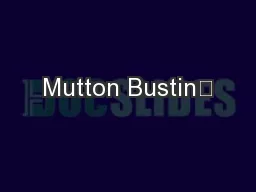 Mutton Bustin’