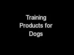 Training Products for Dogs 