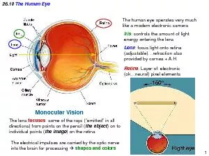 The human eye operates very much like a modern electronic cameraIris: