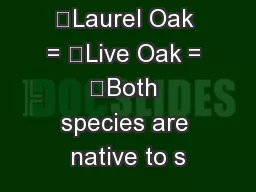•Laurel Oak = •Live Oak = •Both species are native to s