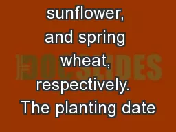 r wheat, sunflower, and spring wheat, respectively.  The planting date