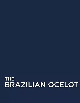 BRAZILIAN OCELOT