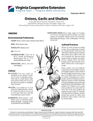 Onions, Garlic and ShallotsDiane Relf, Extension Specialist, Horticult