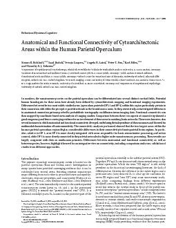 PDF-Differencesbetweenthetwomostwidelystudiedareas[operculumparietale(OP)1