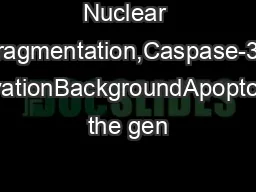 Nuclear fragmentation,Caspase-3 activationBackgroundApoptosis, the gen