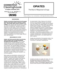 The Brain’s Response to Drugs