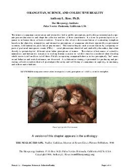 Rose, A. L.  :  Orangutan, Science, & Collective Reality Page 1 of 11
