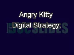 Angry Kitty Digital Strategy: