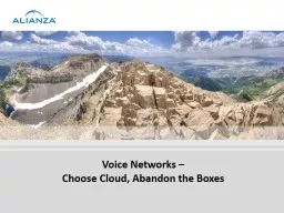 Voice Networks