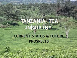 TANZANIA TEA INDUSTRY