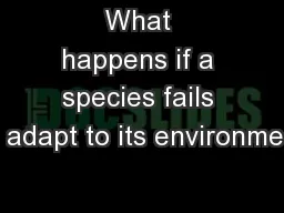 What happens if a species fails to adapt to its environment
