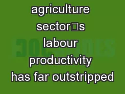 The agriculture sector’s labour productivity has far outstripped