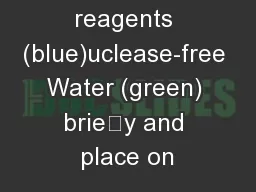 ynthesis reagents (blue)uclease-free Water (green) briey and place on
