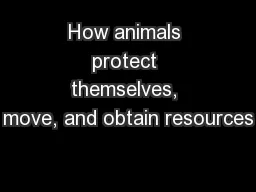 How animals protect themselves, move, and obtain resources