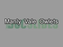 Manly  Vale  Owlets