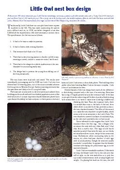 raditionally, Little Owls have not occupied nest boxes in great 
...