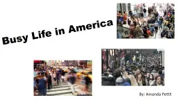 Busy Life in America