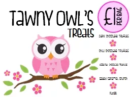 Tawny Owl’s