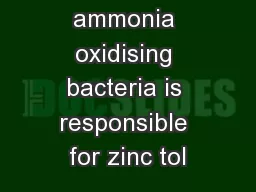 Activity of the ammonia oxidising bacteria is responsible for zinc tol