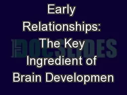 Early Relationships: The Key Ingredient of Brain Developmen