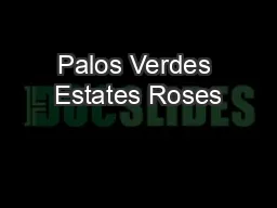 Palos Verdes Estates Roses