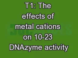 T1: The effects of metal cations on 10-23 DNAzyme activity