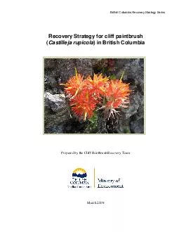 British Columbia Recovery Strategy Series