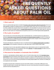 1. What is palm oil?