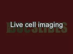 Live cell imaging