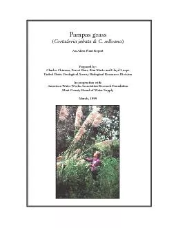 Pampas grass(Cortaderia jubata & C. selloana)An Alien Plant ReportPrep