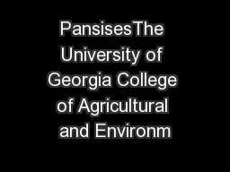 PansisesThe University of Georgia College of Agricultural and Environm