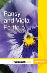 Pansy and Viola Portfolio