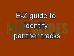 E-Z guide to identify panther tracks