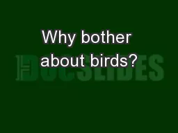 Why bother about birds?