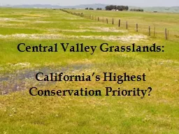 Central Valley Grasslands: